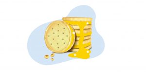 Should You Invest in the Stock of Britannia?